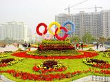 五环辉印（王会兵）